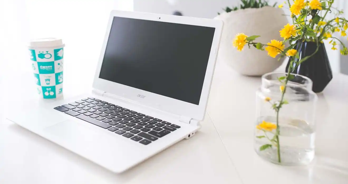 Ремонт ноутбуков Acer в Энгельсе
