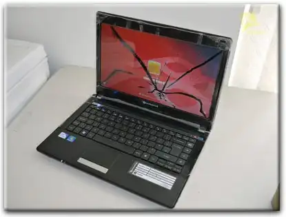 Замена матрицы Packard Bell в Энгельсе
